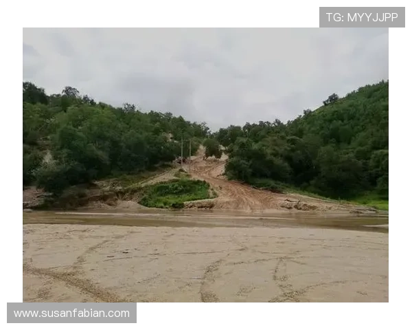 如何轻松获取BG大游真人登录线路，全面分析多种登录途径和注意事项